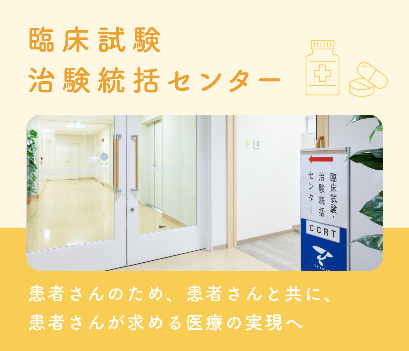 DDworks Trial Siteの使用について｜帝京大学医学部附属病院