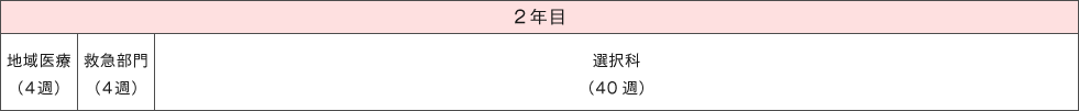 2年目 地域医療（4週）、救急部門（4週）、選択科（40週）