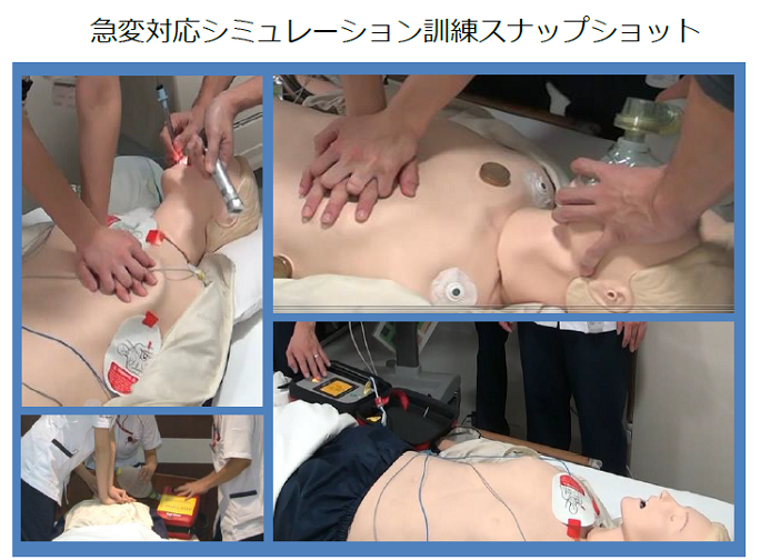 急変対応シミュレーション訓練スナップショット
