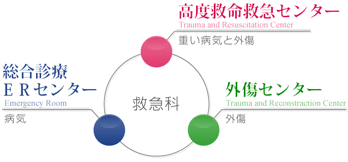 救急科 診療科紹介 帝京大学医学部附属病院